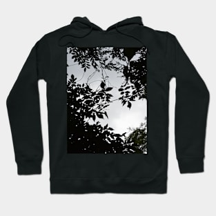 Greenery Noir's Companion Hoodie